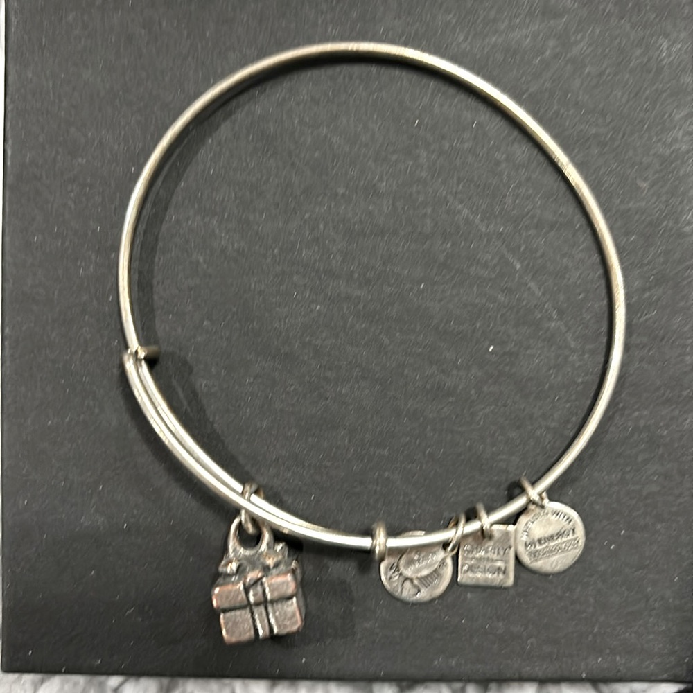 Alex and Ani Gift Box Present Silver Charm Bracelet adjustable Bangle
